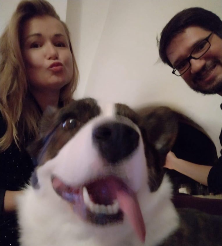 Mobirise Website Builder